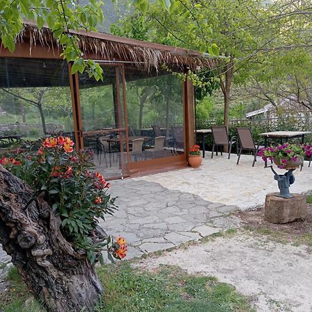 Xenonas Souliou Hotel Samonida Exterior photo