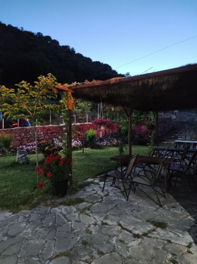 Xenonas Souliou Hotel Samonida Exterior photo