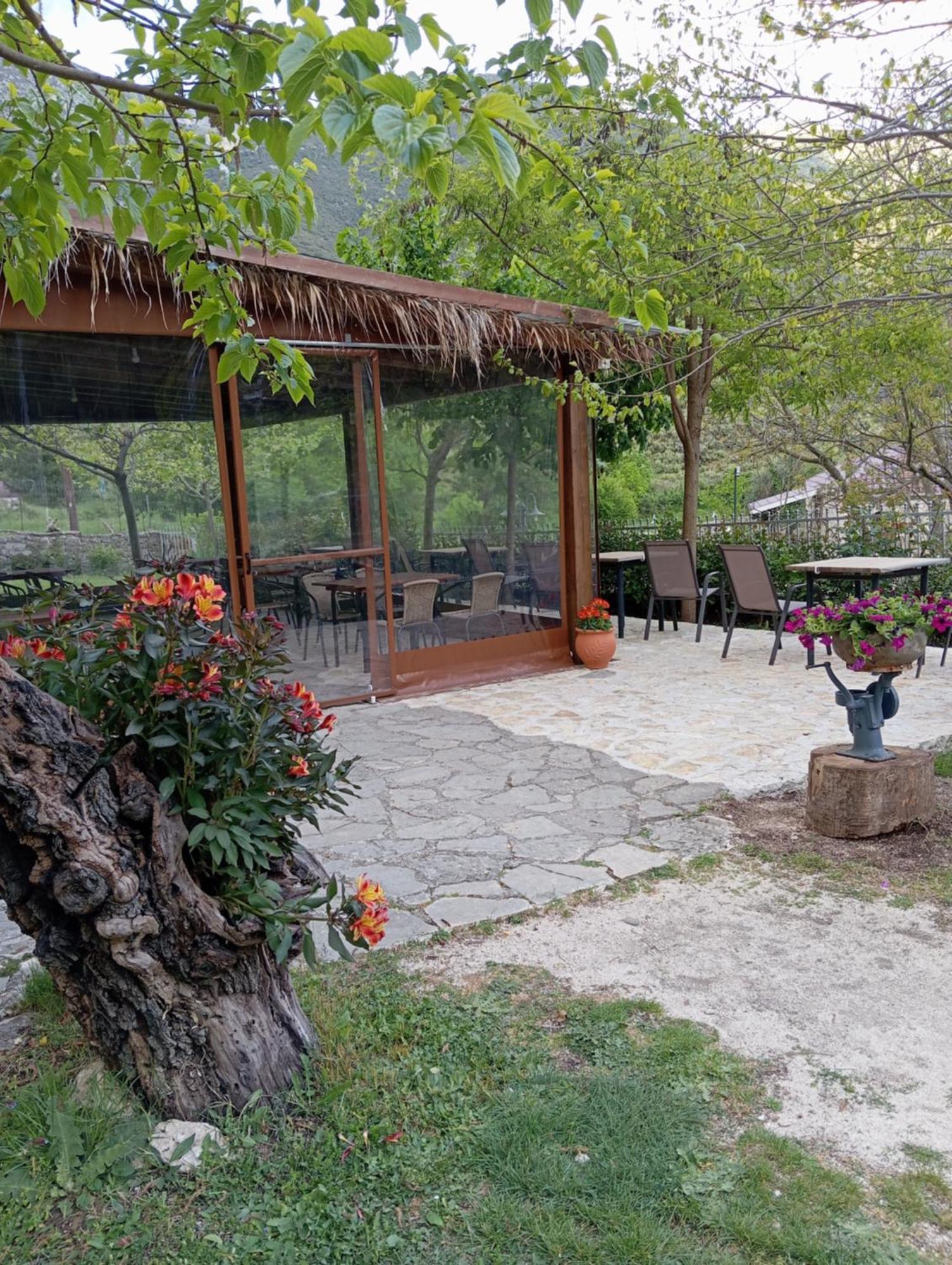 Xenonas Souliou Hotel Samonida Exterior photo